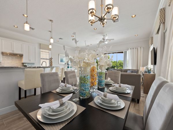Orlando Home 981160