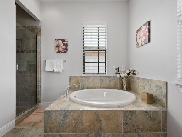 Orlando Home 981160