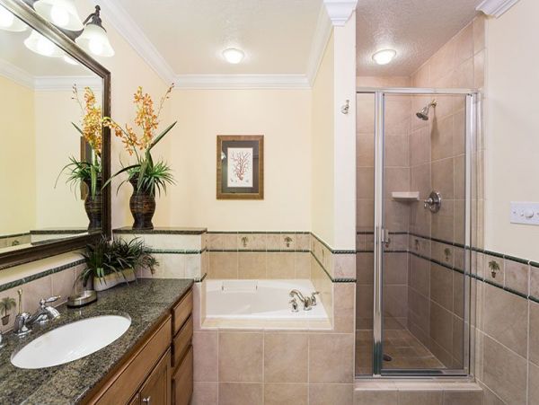 Orlando Home 981172