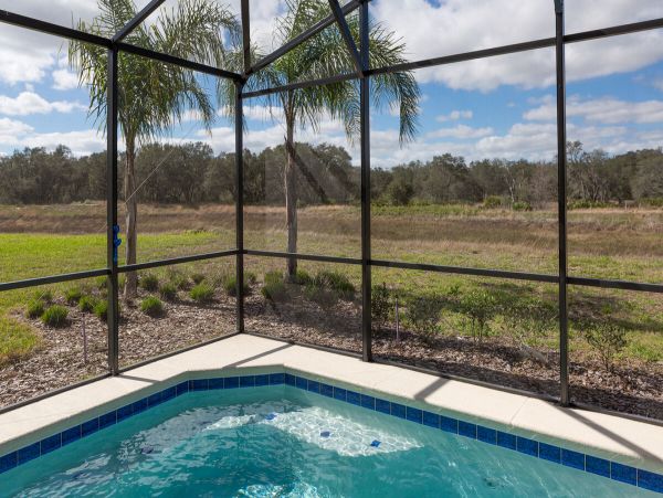 Orlando Home 981193