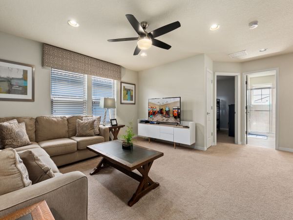 Orlando Home 981194