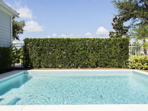 Orlando Home 981195