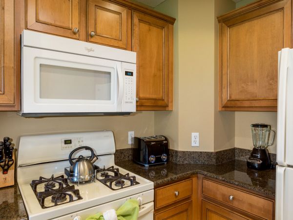 Orlando Condo 981213