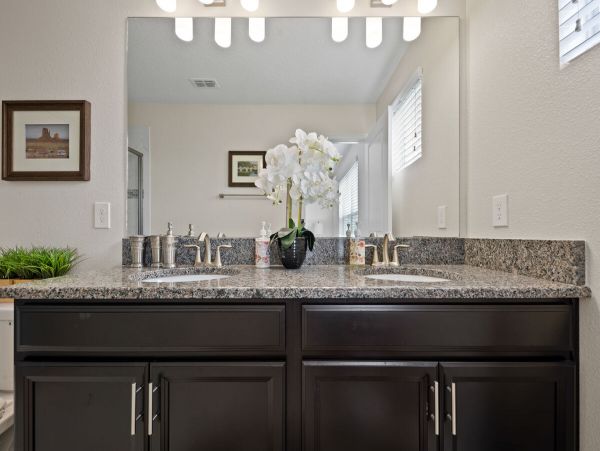 Orlando Home 981247