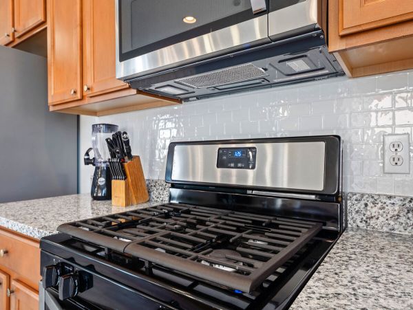 Orlando Home 981254