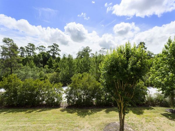 Orlando Home 981254
