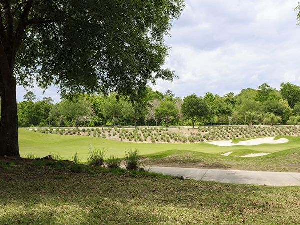 Orlando Condo 981256
