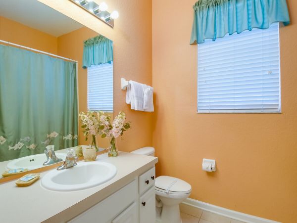 Orlando Home 981264