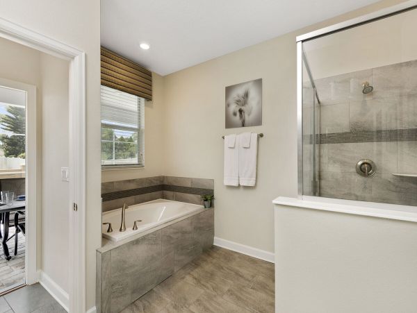 Orlando Home 981270