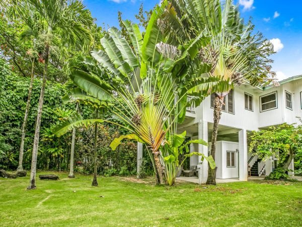 Hanalei Home 981332