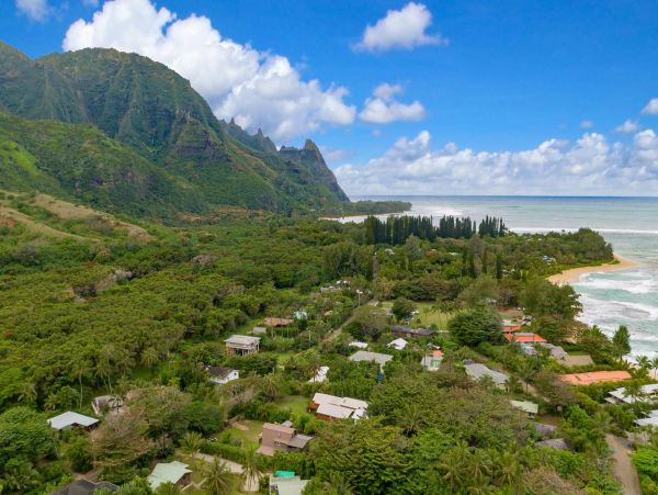 Hanalei Home 981333