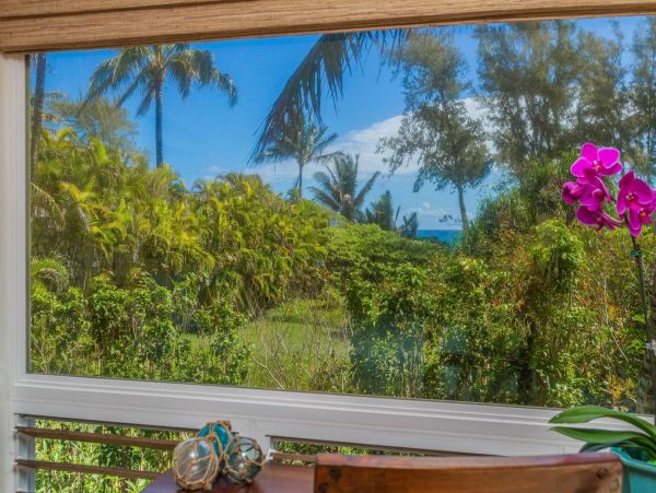 Hanalei Home 981335