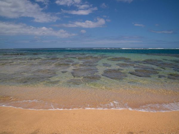 Hanalei Home 981335