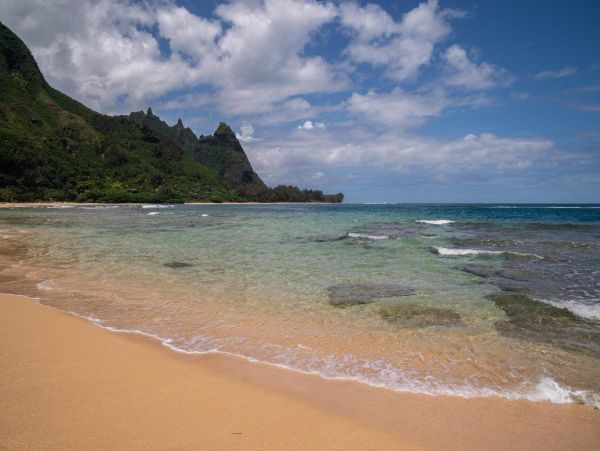 Hanalei Home 981335
