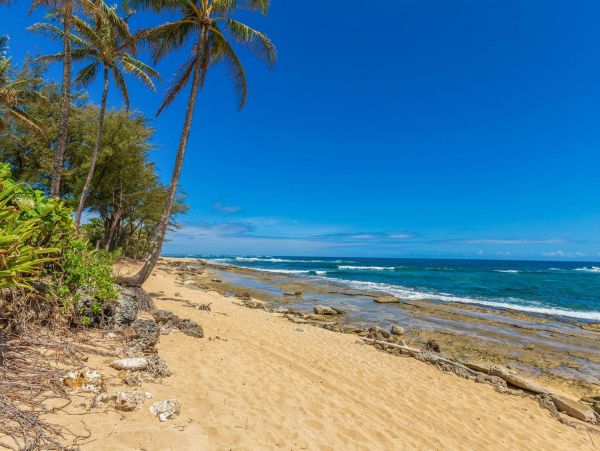 Hanalei Home 981335