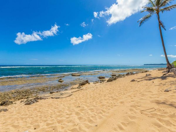 Hanalei Home 981335