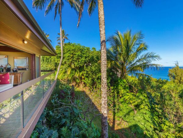 Hanalei Home 981339