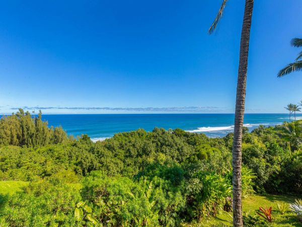 Hanalei Home 981339