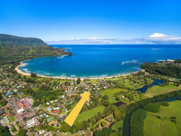 Hanalei Home 981342