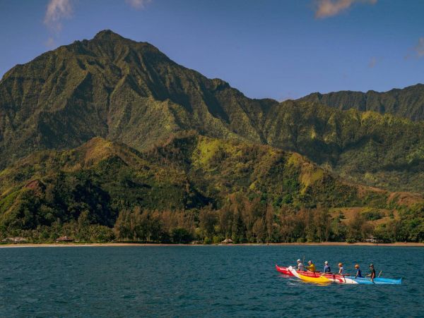 Hanalei Home 981342