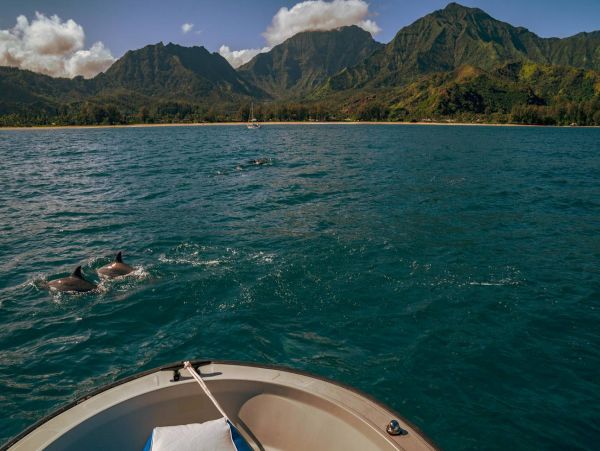 Hanalei Home 981342