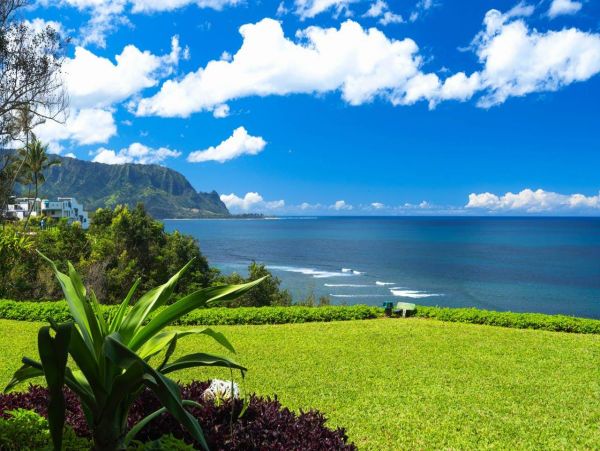 Hanalei Condo 981344