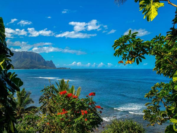 Hanalei Condo 981345