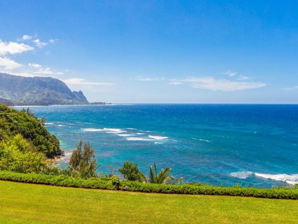 Hanalei Condo 981346