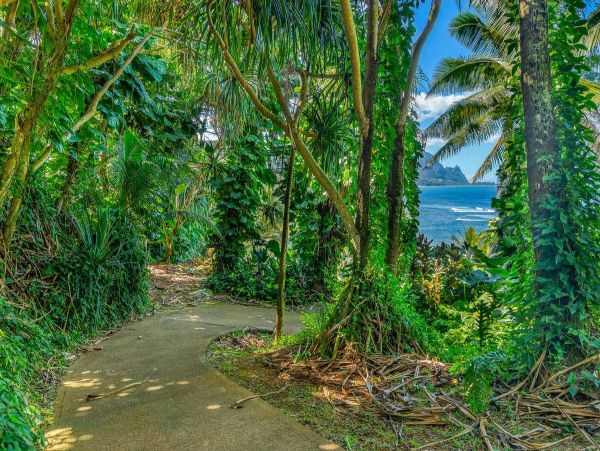 Hanalei Condo 981346