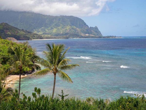 Hanalei Condo 981346