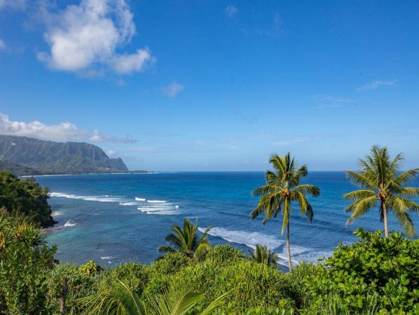 Hanalei Condo 981346
