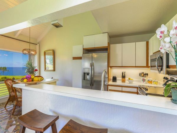Hanalei Condo 981347