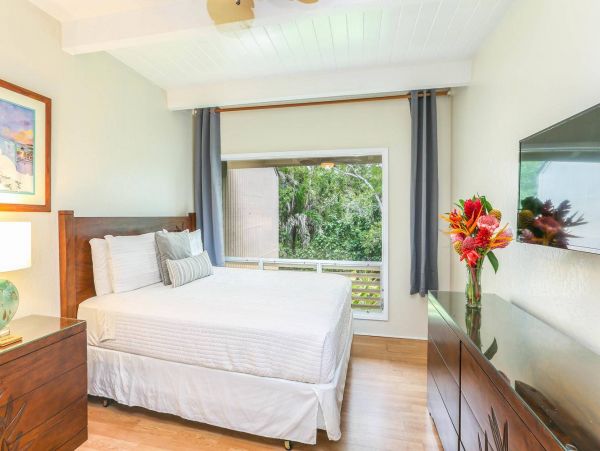 Hanalei Condo 981347