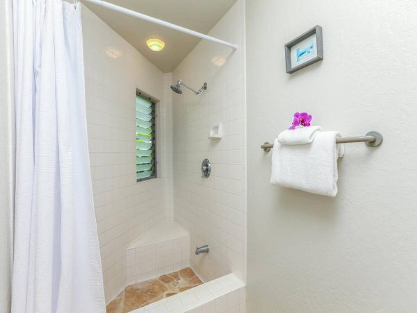Hanalei Condo 981347