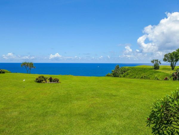 Hanalei Condo 981347