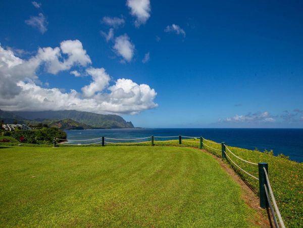 Hanalei Condo 981347