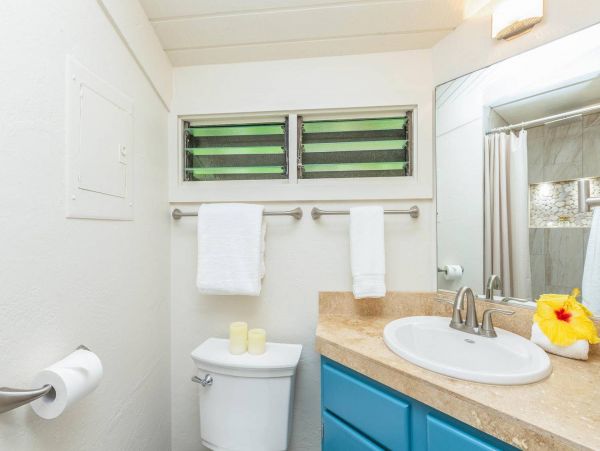 Hanalei Home 981348