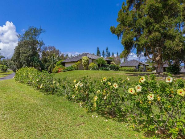Hanalei Home 981348