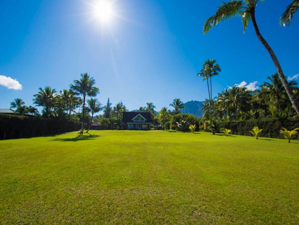 Hanalei Home 981351