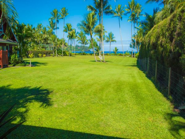 Hanalei Home 981351