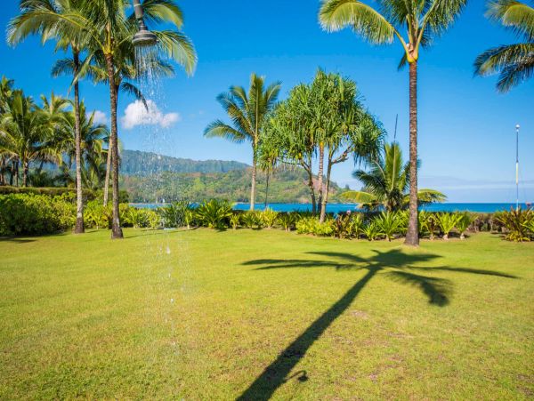 Hanalei Home 981351