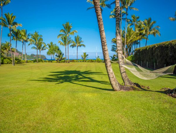 Hanalei Home 981351