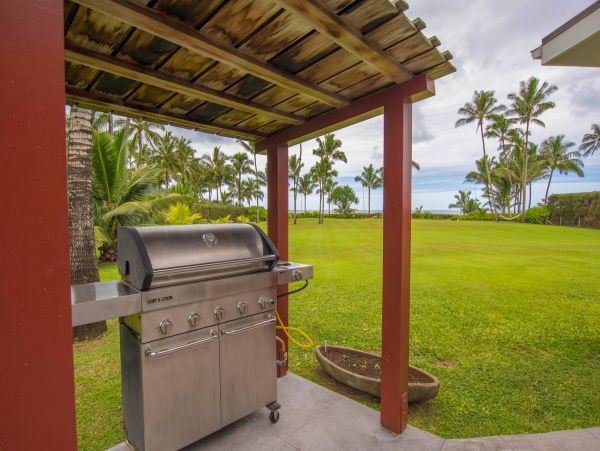 Hanalei Home 981351