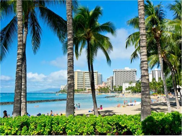 Honolulu Diamond Head Kahala Condo 981406