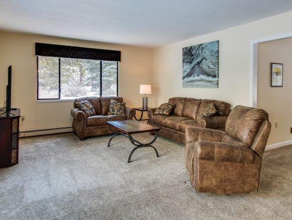 Lake Tahoe South Shore Home 981450