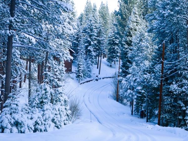 Lake Tahoe South Shore Home 981455
