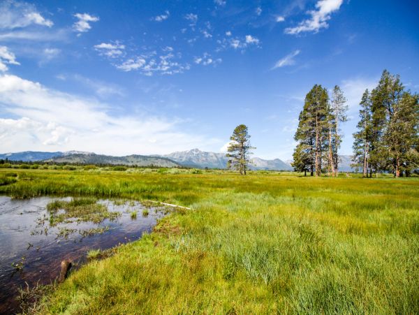 Lake Tahoe South Shore Home 981461