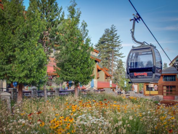 Lake Tahoe South Shore Home 981475