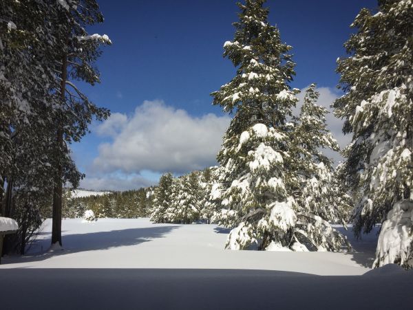 Lake Tahoe South Shore Home 981476