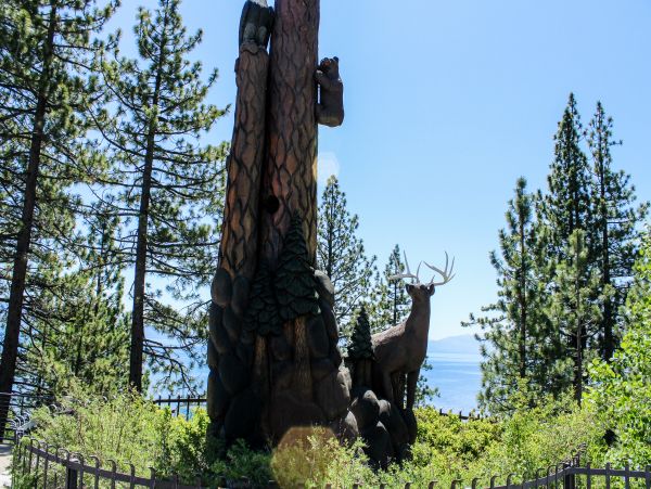 Lake Tahoe South Shore Home 981493